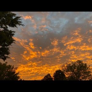 Meet your Posher, Lydia